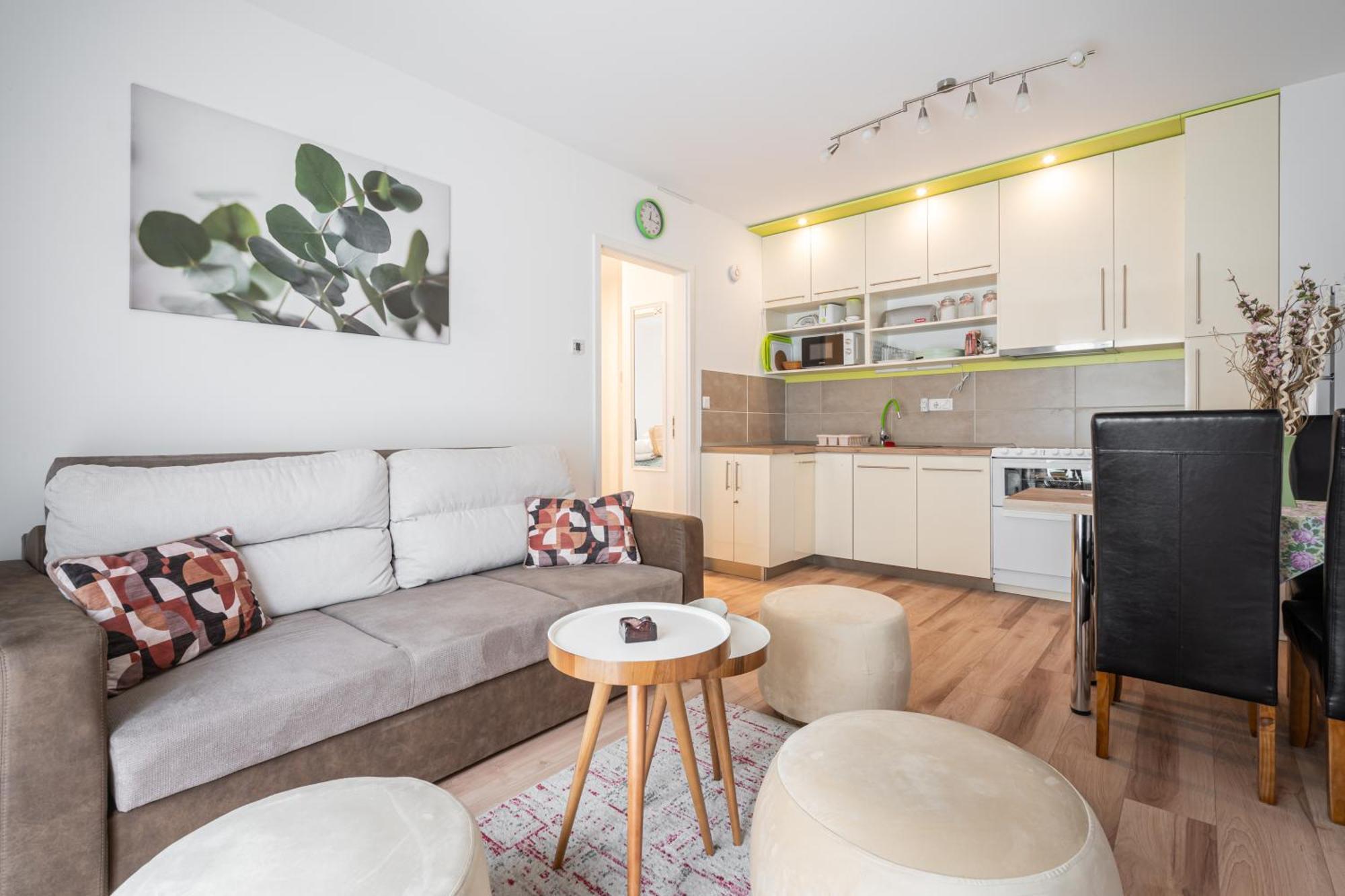 Peter Apartment With Terrace 布达佩斯 外观 照片